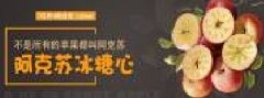 甘肅慶新電子商務有限公司和本公司簽訂網(wǎng)站建設協(xié)議