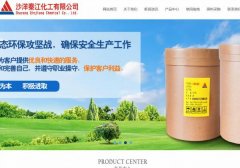 沙洋秦*化工有限公司建網(wǎng)站新一代自助建站、智能建站系統(tǒng)