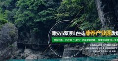 雅安市蒙*山生態(tài)康養(yǎng)產業(yè)園發(fā)展有限公司網站建設公司有創(chuàng)意的主題設計
