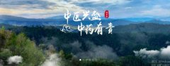 普洱淞*醫(yī)藥集團有限公司網(wǎng)站建設(shè)新一代自助建站、智能建站系統(tǒng)