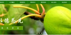 涼山德*生物能源公司制作網站創(chuàng)意網站效果展示
