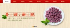 紅太*食品(榮成)有限公司制作網(wǎng)站新一代自助建站、智能建站系統(tǒng)