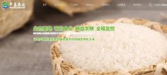 豐城市中*農(nóng)業(yè)發(fā)展有限公司網(wǎng)站建設(shè)新一代自助建站、智能建站系統(tǒng)