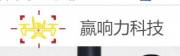 深圳市贏(yíng)響力科技有限公司企業(yè)網(wǎng)站建設(shè)方案